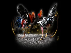 Làm Chủ Đấu Trường Sabong Hướng Dẫn Đá Gà Tại 22Bet Chi Tiết