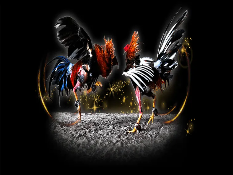 Làm Chủ Đấu Trường Sabong Hướng Dẫn Đá Gà Tại 22Bet Chi Tiết